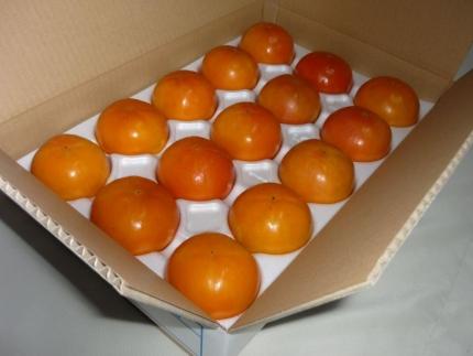 【京都市農協 大枝支部】＜令和7年11月中旬～発送＞大枝冨有柿（Lサイズ 15個）