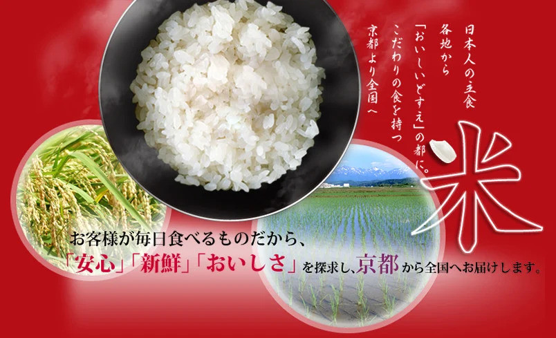 ＜令和7年産新米＞【丸越】京都丹波産きぬひかり精米5kg　※米食味鑑定士厳選 ※精米したてをお届け　| 米 白米 こめ コメ 精米 コシヒカリ ごはん ご飯 お米 こめ おこめ 白米 精米 国産 白飯 ゴハン［ 京都 丹波産 きぬひかり 精米 令和7年産 特A評価 おいしい 人気 おすすめ 米 コメ お取り寄せ 通販 送料無料 ふるさと納税 ］