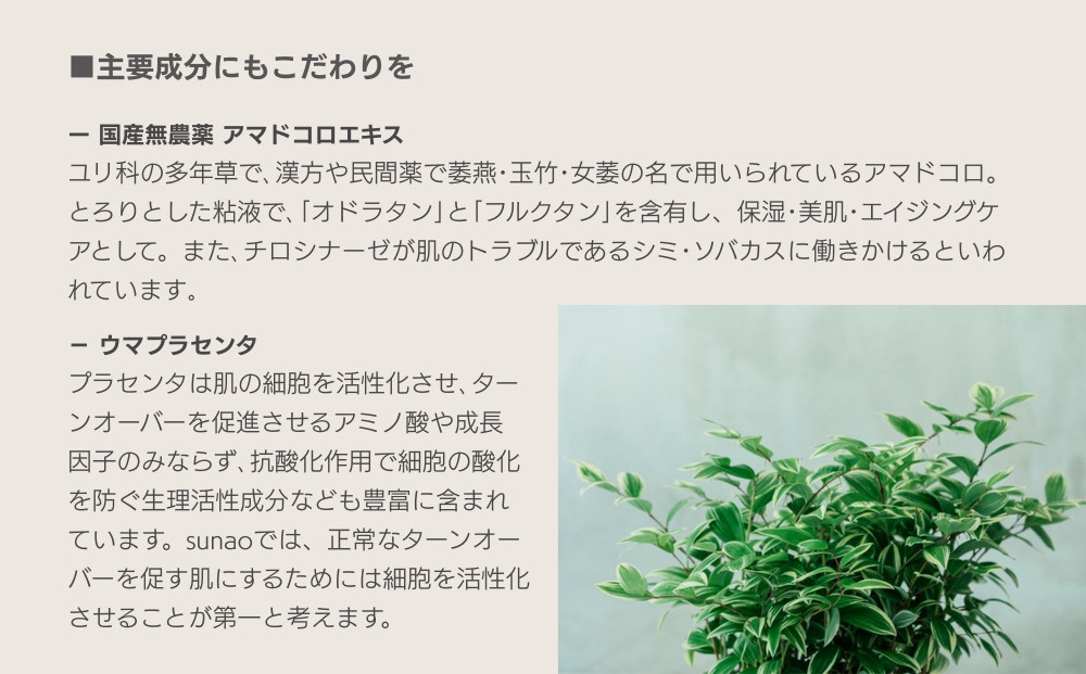 【sunao】京の拘りスキンケア リバースジェル 75g｜京都 自然素材 オールインワン スキンケア用品 人気 ［ うるおい補給 高濃度美容液 人気 おすすめ 保湿 洗顔後のお手入れを全てこなす お取り寄せ 通販 送料無料 ふるさと納税 ］