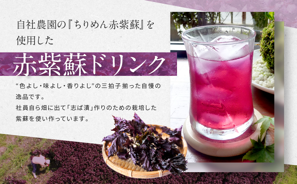 【土井志ば漬本舗】京都大原ちりめん赤紫蘇ジュース 180ml×10本｜赤紫蘇ジュース ドリンク 人気セット［ ちりめん赤紫蘇 しそジュース 老舗 ストレートで飲める 炭酸割り お土産贈答 人気 おすすめ お取り寄せ 通販 送料無料 ふるさと納税 ］