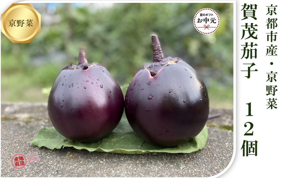 【 先行予約特典付き・2026年7月発送】京ブランド野菜・賀茂茄子（かもなす）12個 約3kg