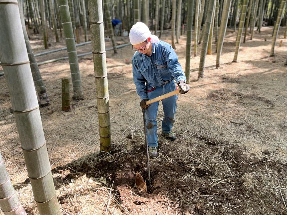 ïŒå
è¡äºçŽïŒãç®ä»ã京éœè¥¿å±±ç£ã ææãããã®ã ïŒkgïŒç±³ã¬ãä»ïŒãã¢ããã©ã³ãã³ãŒãã¬ãŒã·ã§ã³ã