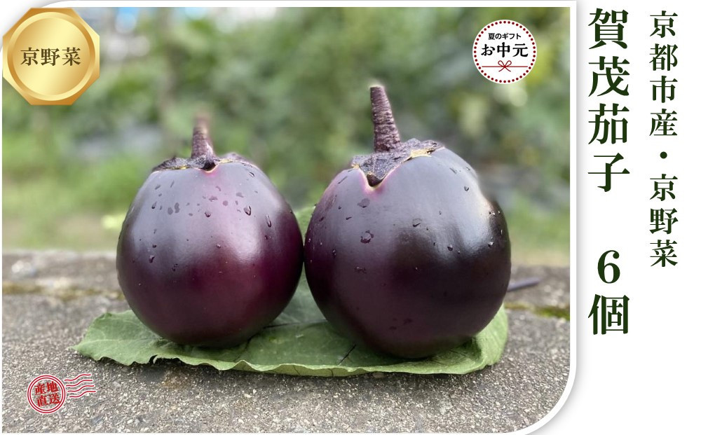 【先行予約特典付き・2026年7月発送】京ブランド野菜・賀茂茄子（かもなす） 6個 約1.5kg