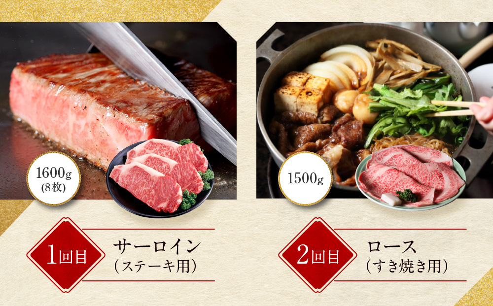 ＜定期便６回＞【京都モリタ屋】京都肉食べ比べ(2)［ 京都 老舗 肉 食べ比べ 人気 おすすめ グルメ おいしい 高級 ブランド ブランド牛 和牛 国産牛 料理 ステーキ すき焼き しゃぶしゃぶ 焼肉 ］