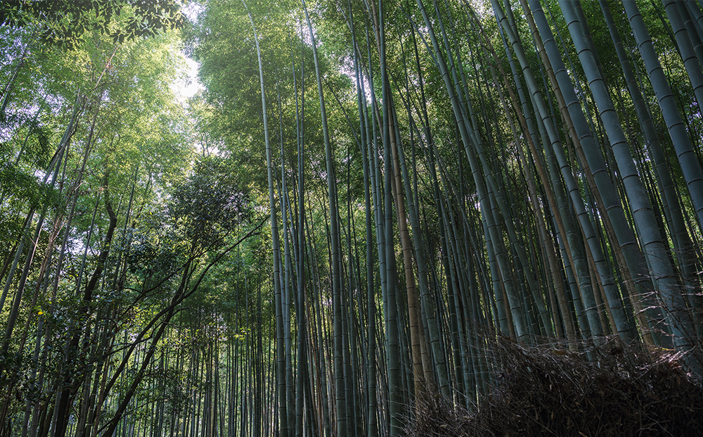 縲千ォケ螳壼膚蠎励鷹搨遶ケ雕上∩