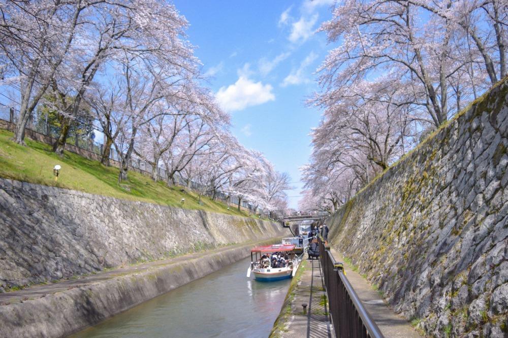 縲舌ウ繧乗ケ也柾豌エ闊ケシ壹ウ繧乗ケ門、ァ豢・貂ッ萓ソ縲第丼繧キ繝シ繧コ繝ウ蜈郁。御コ育エ讓ゥシ茨シ大錐讒伜縺ョ蜈郁。御コ育エ縺ョ讓ゥ蛻ゥ縺ィ荵苓飴蠑墓鋤蛻クシ