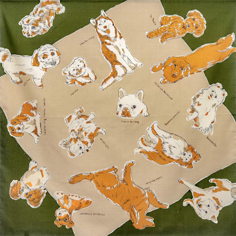 縲蝉ク蛾區蝠莠九第オ螻ア鄒朱97cm鬚ィ蜻よ聞シDOGSシ(莠ャ驛ス/螟ァ蛻、/迥ャ/繧、繝/阮謇/繧ィ繧ウ繝舌ャ繧ッ/邯ソ100シ)