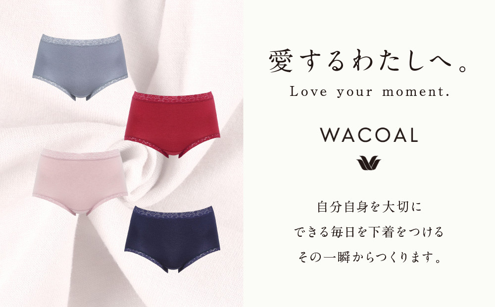 【ワコール】3年連続1位! 見た目スッキリ きれいに整うディアヒップ ショーツ LLサイズ《カラー:GR》［ 京都 Wacoal ウイング 愛され続けるロングセラーショーツ 人気 おすすめ 有名 ブランド インナー 下着 肌着 レディース おしゃれ お取り寄せ 通販 送料無料 ふるさと納税 ］
