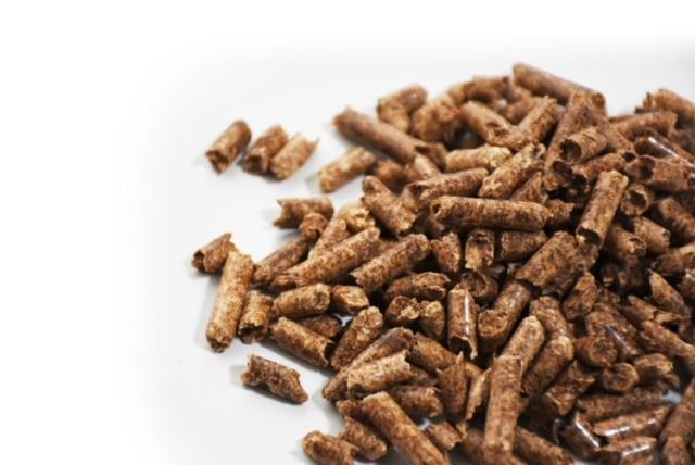 縲先」ョ縺ョ蜉帑コャ驛ス縲台コャ驛ス繝壹Ξ繝繝茨シ医帙Ρ繧、繝茨シ