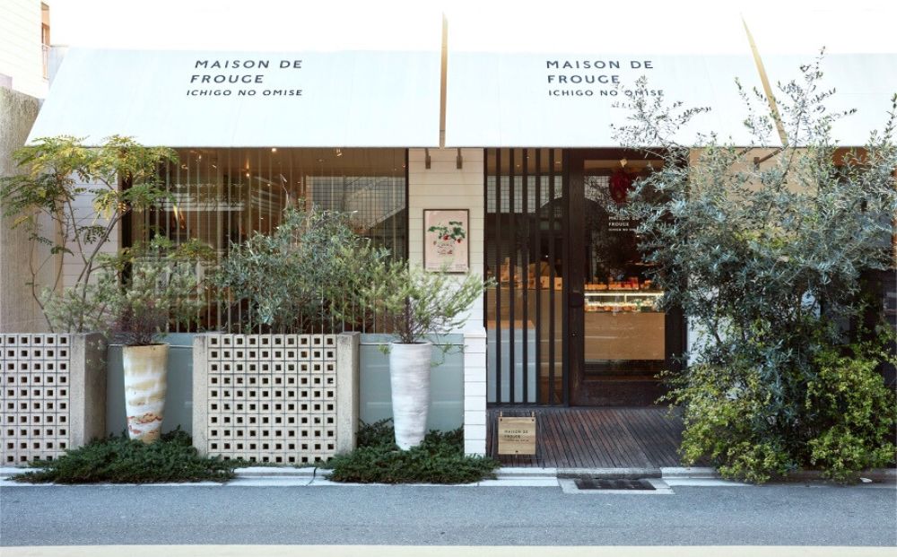 【MAISON DE FROUGE】苺と木苺＆白桃のフローズンチーズケーキ（各4個入り） [ 京都 苺スイーツ専門店 夏にぴったり 個包装 人気 おすすめ 果実入り ギフト お取り寄せ 通販 送料無料 ふるさと納税 ]