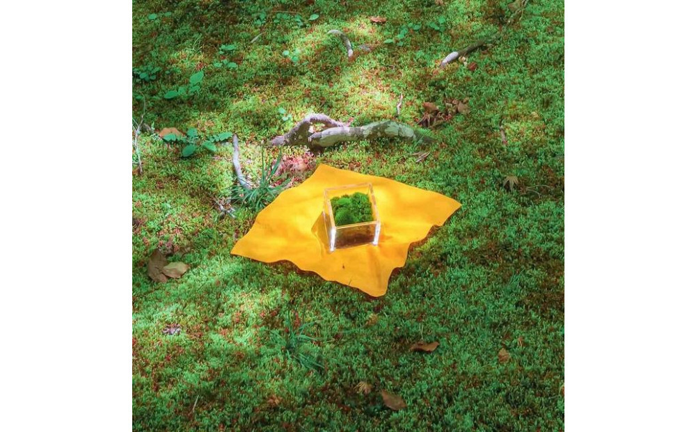 【銀座花粂】青蓮院の苔 春 (3月20日頃到着 寄付日：2月3日から3月1日の方)