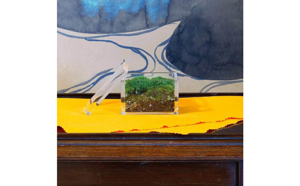 【銀座花粂】清水寺の苔 春 (3月20日頃到着 寄付日：2月3日から3月1日の方)