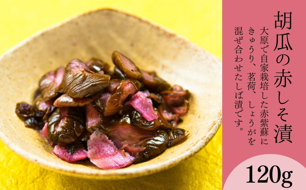 【辻しば漬本舗】大原のしば漬味比べ滋味セット（5種） [ 京都 大原 漬物 食べ比べ 自社栽培 老舗 赤しそ 壬生菜 すぐき ちりめん きゅうり 人気 おすすめ お取り寄せ 通販 送料無料 ふるさと納税 ]