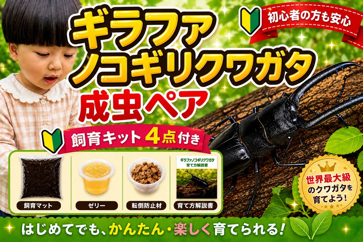 【虹色Farm】ギラファノコギリクワガタ 成虫ペア ～初心者の方も安心！飼育キット4点付(育て方解説書・転倒防止材・ゼリー・飼育マット)～｜京都 クワガタ 人気［ クワガタ ギラファノコギリクワガタ 成虫 ペア オス メス 飼育キット 説明書付 人気 おすすめ 自由研究 夏休み 体験 自然 昆虫 虫 お取り寄せ 通販 送料無料 ふるさと納税 ］