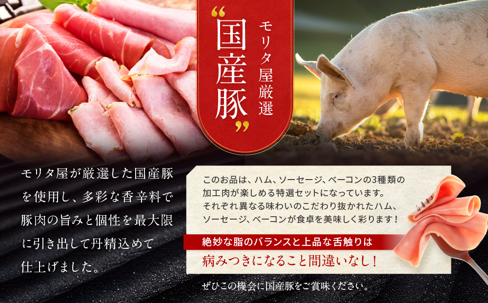 【京都モリタ屋】モリタ屋ハム・ソーセージ・ベーコンセット［ 京都 老舗 肉 ハム ソーセージ ベーコン 人気 おすすめ グルメ 簡単 お手軽 おいしい 高級 ブランド ブランド牛 和牛 国産牛 お取り寄せ ］