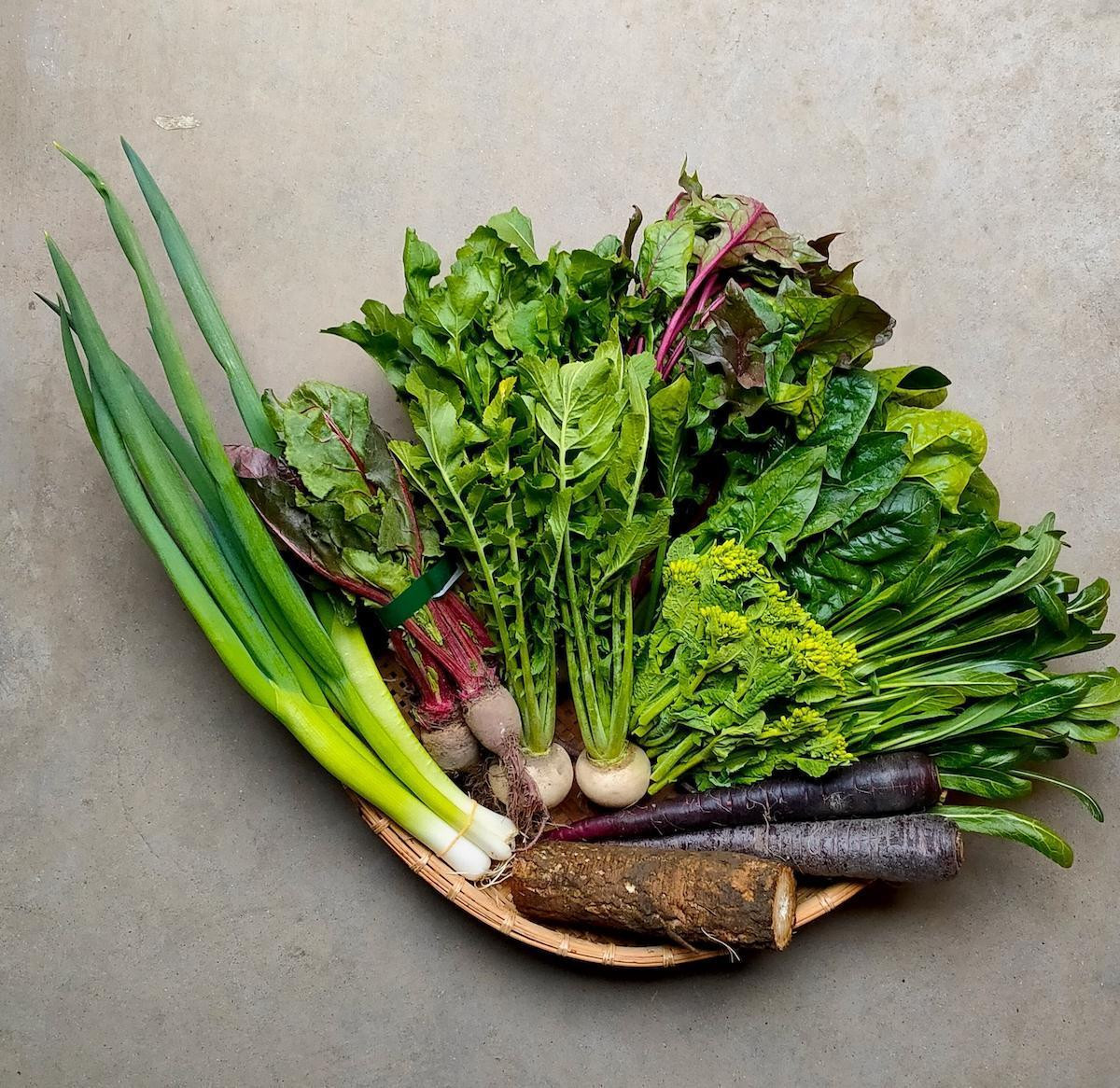 ◆全6回定期便◆【つくだ農園】《有機JAS認証 有機野菜10品入り》京都の棚田大原で心を込めて大切に露地栽培された大地の恵みたっぷりの有機野菜!［ 京都 有機野菜 定期便 セット 人気 おすすめ 有機栽培 おまかせ 詰め合わせ 産地直送 新鮮 ミシュラン お取り寄せ 通販 送料無料 ふるさと納税 ］