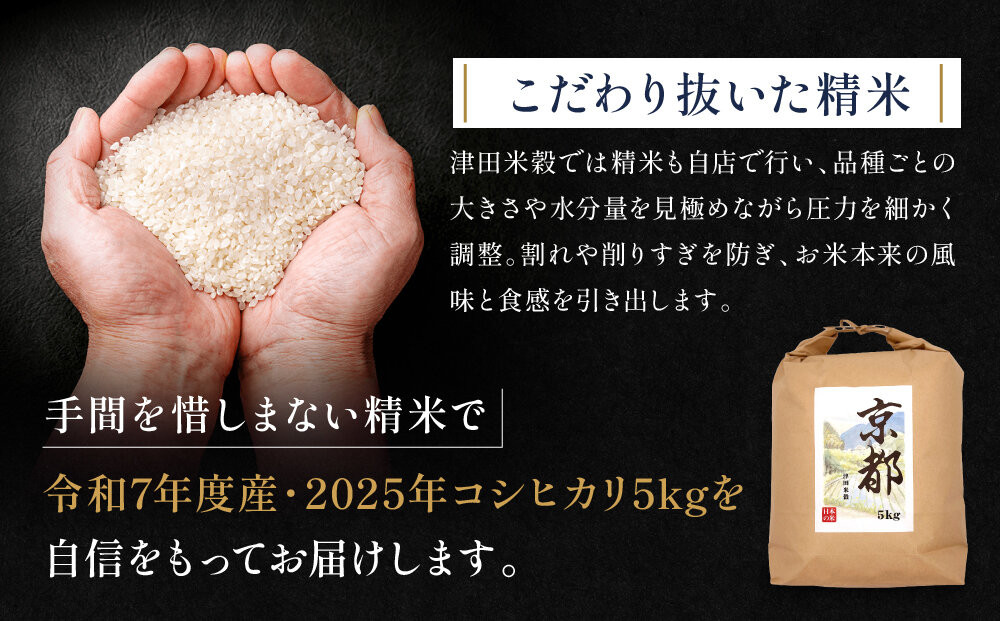 ãæŽ¥ç°ç±³ç©ãäºã€æãç±³ãã€ã¹ã¿ãŒç£ä¿® è€éãããè²ãŠãã³ã·ãã«ãª 5kgïœä»€å7幎床ç£ã³ã·ãã«ãª çœç±³ ãã ããæãã粟米 人æ°ïŒ» ã³ã·ãã«ãª ãç±³æ¬æ¥ã®é¢šå³ãšé£æ ãããã ã°ã«ã¡ ãããã ã³ã¡ ãåãå¯ã é販 éæç¡æ ãµãããšçŽçš 