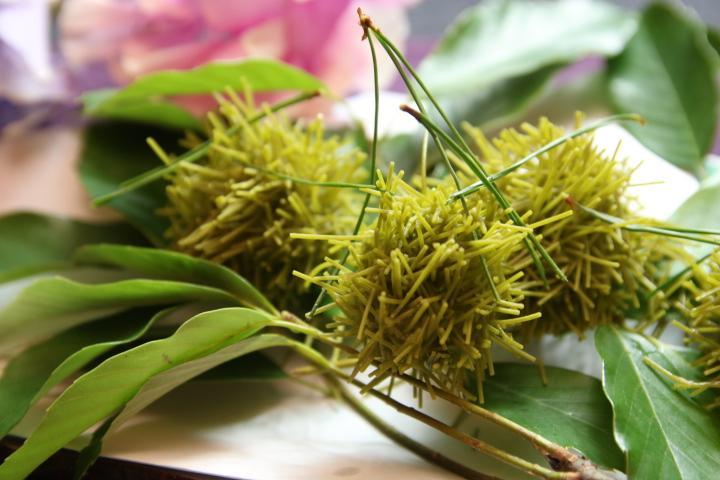 【閑臥庵】京懐石普茶料理 朱膳  ペアディナーお食事券［ 京都 京料理 食事 ディナー 人気 おすすめ 老舗 グルメ チケット 割引 ］