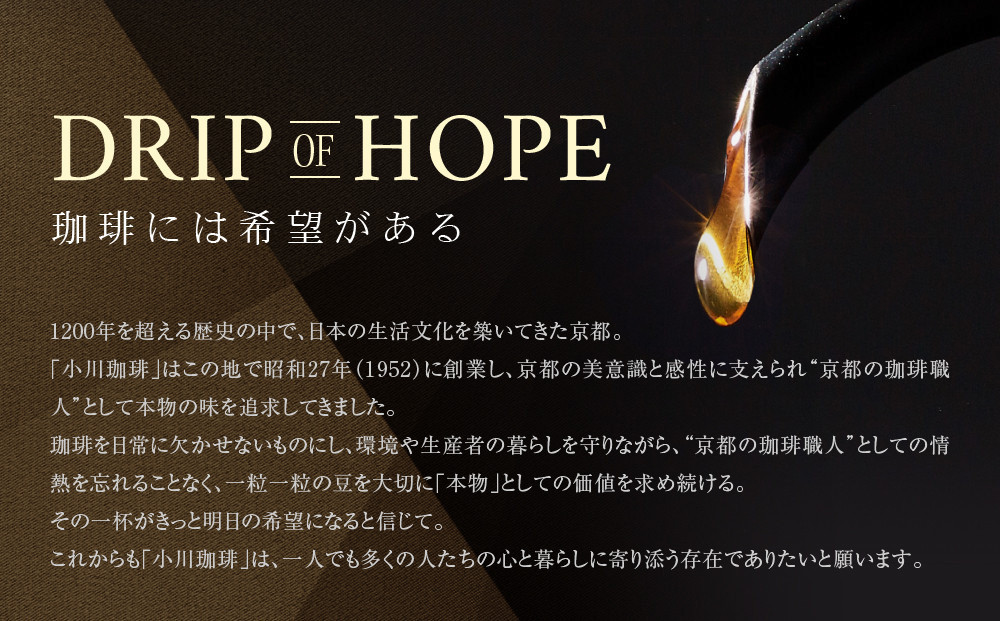 【小川珈琲】水出しアイスコーヒーパック 50g×4袋(約3200ml相当)｜京都 OGAWA コーヒーブランド 人気セット［ 炭焼珈琲 水出しアイスコーヒー 水を注いで待つだけ 簡単 贅沢 コク 香り おすすめ ギフト プレゼント 贈答 お取り寄せ 通販 送料無料 ふるさと納税 ］