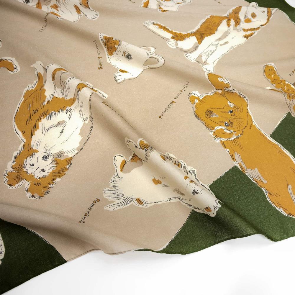 縲蝉ク蛾區蝠莠九第オ螻ア鄒朱97cm鬚ィ蜻よ聞シDOGSシ(莠ャ驛ス/螟ァ蛻、/迥ャ/繧、繝/阮謇/繧ィ繧ウ繝舌ャ繧ッ/邯ソ100シ)