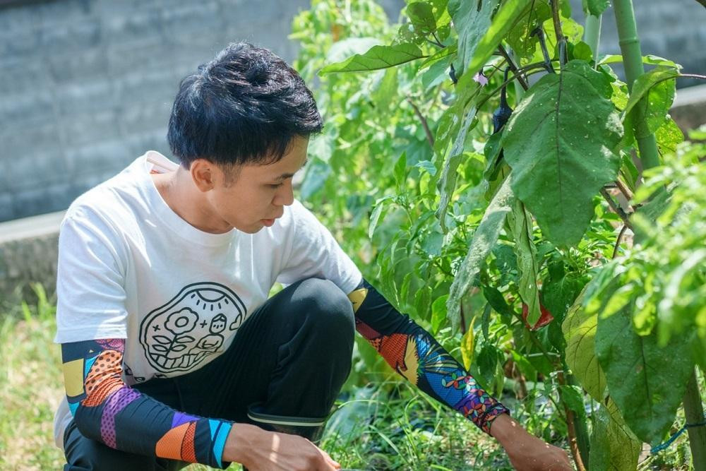 【 先行予約特典付き・2026年7月発送】京ブランド野菜・賀茂茄子（かもなす）12個 約3kg