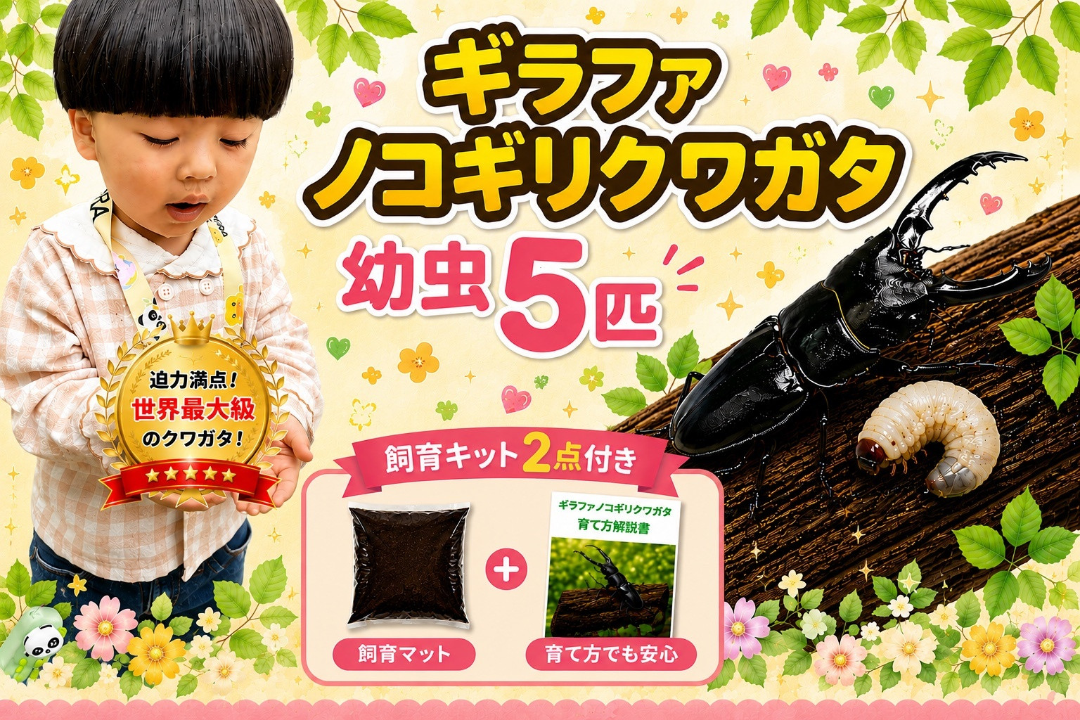 【虹色Farm】ギラファノコギリクワガタ 幼虫５匹 ～初心者の方も安心！飼育キット２点付(育て方解説書・飼育マット)｜京都 クワガタ 人気［ クワガタ ギラファノコギリクワガタ 幼虫 5匹 飼育キット 説明書付 人気 おすすめ 自由研究 夏休み 体験 自然 昆虫 虫 お取り寄せ 通販 送料無料 ふるさと納税 ］