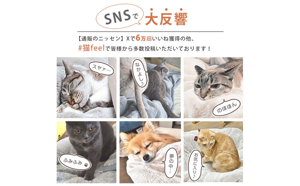 【ニッセン】まるで猫!のようなモフモフ2枚合わせ毛布(猫Feel)シングル スコティッシュフォールド(ベージュ系)［ 京都 nissen 寝具 吸湿 発熱 人気 おすすめ 洗える ギフト プレゼント お取り寄せ 通販 送料無料 ふるさと納税 ］