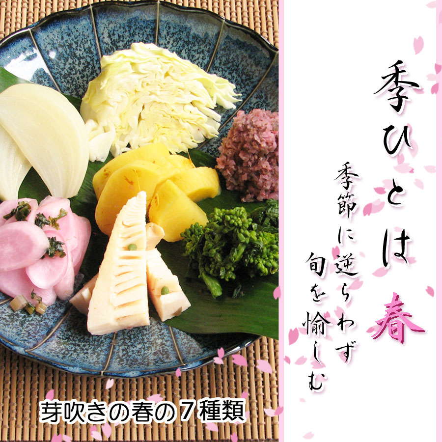 【千枚漬本家 大藤】《5/31まで》京都の漬物7種詰合せ「季ひとは 春」|京都 漬物 野菜［ 京都 老舗 漬物 つけもの 漬け物 野菜 京野菜 セット 人気 おすすめ お取り寄せ 通販 送料無料 ふるさと納税 ］