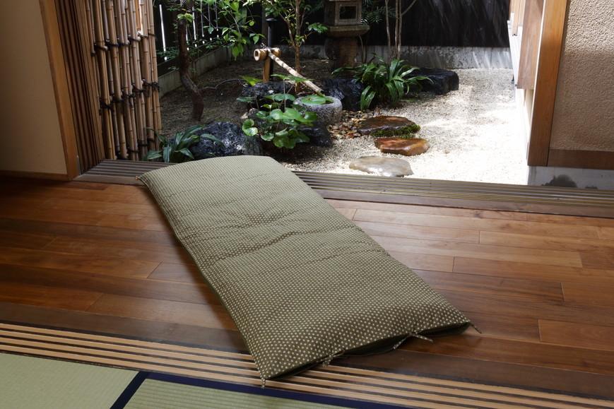 ã æŽäžé«å²¡å± ããããå¯ã«ã¡ããã©ããå¯ãã®ã¢ã€ãã ãã«ããŒã¿ã€ããã坿·ããµãšãïŒã°ãªãŒã³ç³»ïŒ