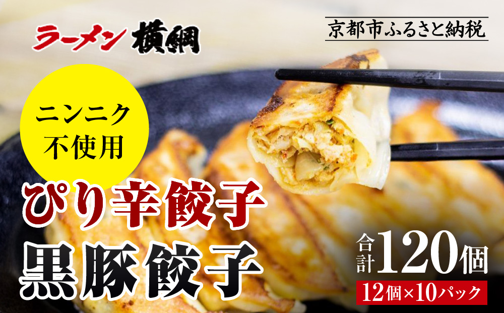 【ラーメン横綱】横綱の餃子はニンニク不使用! ぴり辛餃子＆黒豚餃子10パックセット(各5パック)［ 京都 ラーメン 有名店 餃子120個セット 黒豚＋ピリ辛 冷凍食品 大容量 おいしい 簡単 便利 人気 おすすめ 中華 中華料理 ぎょうざ 餃子 お取り寄せ 通販 送料無料 ふるさと納税 ］