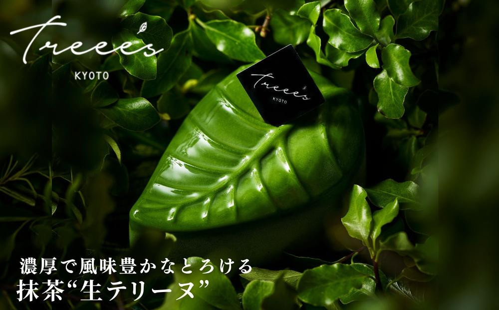 【TREEE’S】抹茶テリーフ｜京都 スイーツ ブランド 人気 抹茶スイーツ [ 抹茶生テリーヌ リーフ型チョコテリーヌ ワインソムリエが作るチョコレート オーガニック グルメ おすすめ 贅沢 ご褒美 お菓子 洋菓子 チョコ ギフト プレゼント 贈答 お取り寄せ 通販 送料無料 ］