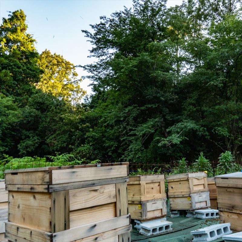 ãHONEY.Kããåããã€ãã京éœçèèã京çŸè± 250g