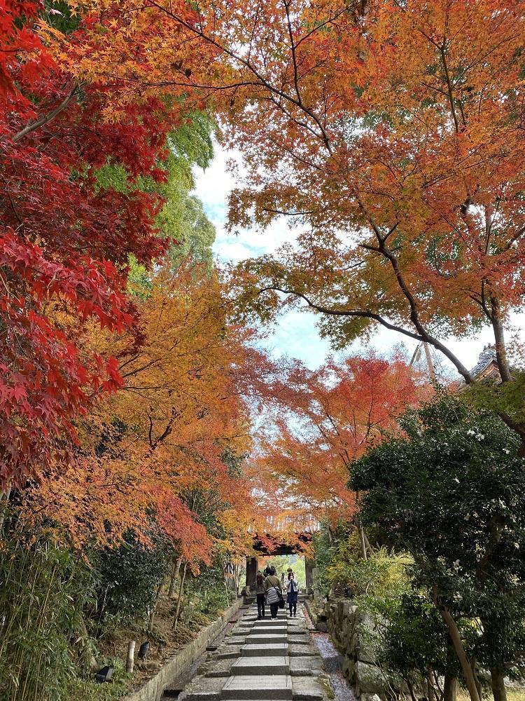 【HOTEL VMG RESORT KYOTO】ギフト券 3万円分×5枚セット［ 京都 東山 分散型ホテル 京のまち全体がホテル 割引 チケット 宿泊券 ギフト券 人気 おすすめ 宿泊 旅行 観光 宿 ホテル リゾート 人気観光地 ふるさと納税］