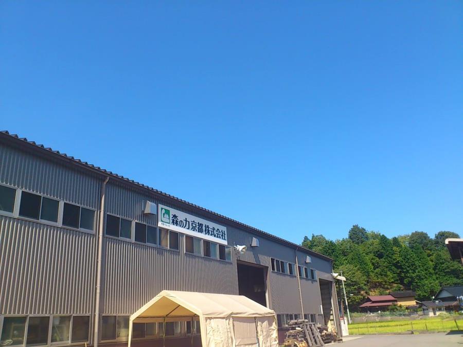 ãæ£®ã®å京éœã京éœãã¬ããïŒå
šæšïŒ