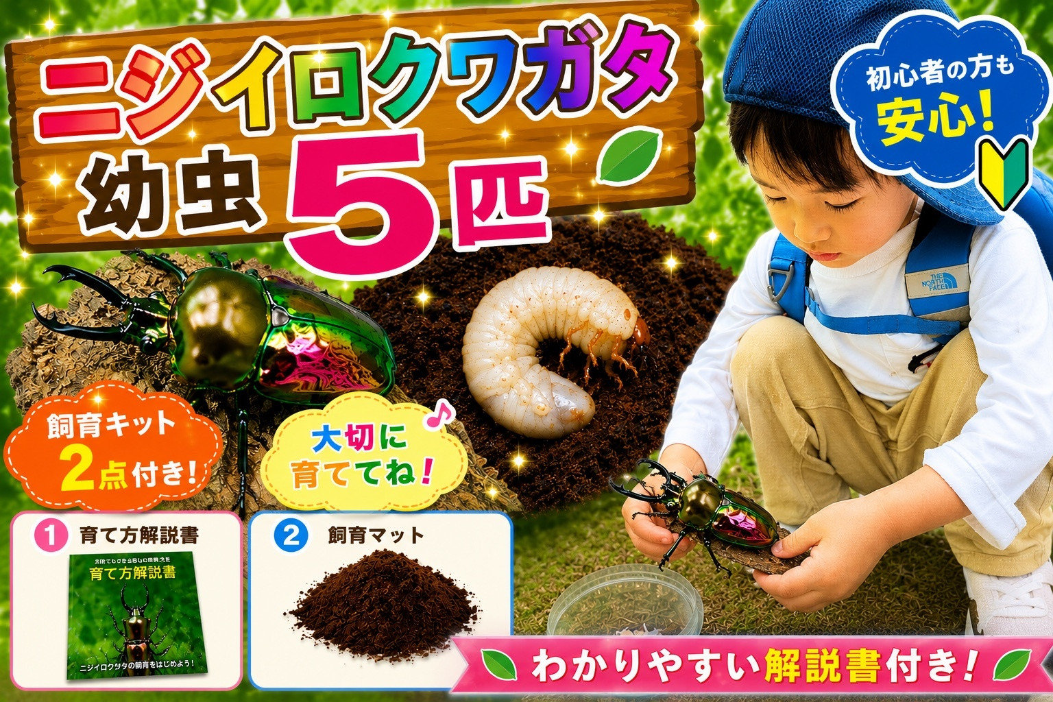 【虹色Farm】ニジイロクワガタ 幼虫５匹 ～初心者の方も安心！飼育キット２点付(育て方解説書・飼育マット)｜京都 クワガタ 人気［ クワガタ ニジイロクワガタ 幼虫 5匹 飼育キット 説明書付 人気 おすすめ 自由研究 夏休み 体験 自然 昆虫 虫 お取り寄せ 通販 送料無料 ふるさと納税 ］