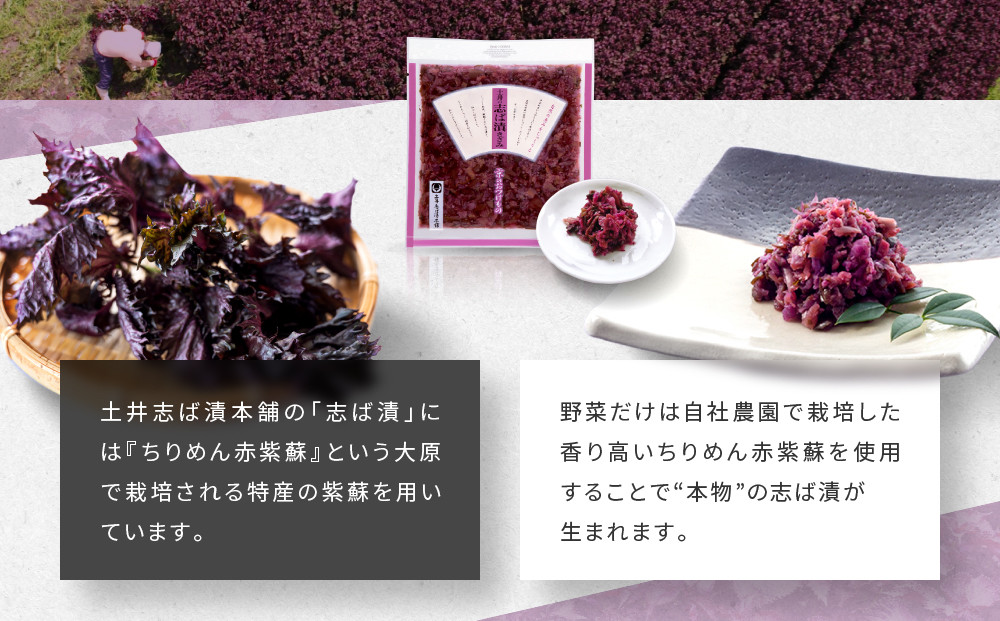 å¿ã°æŒ¬ããã¿1è¢ LLPïœäº¬éœ èè åäº æååº ãã°æŒ¬ æŒ¬ç© äººæ°ã»ãã äº¬éœ å€§å åäºå¿ã°æŒ¬æ¬è ãã°æŒ¬ èå ãã
ãã ã¿ããã ãåç£ èŽç äººæ° ãããã éè æŒ¬ç© ã€ããã® ã®ãã ãã¬ãŒã³ã ãåãå¯ã é販 éæç¡æ ãµãããšçŽçš 