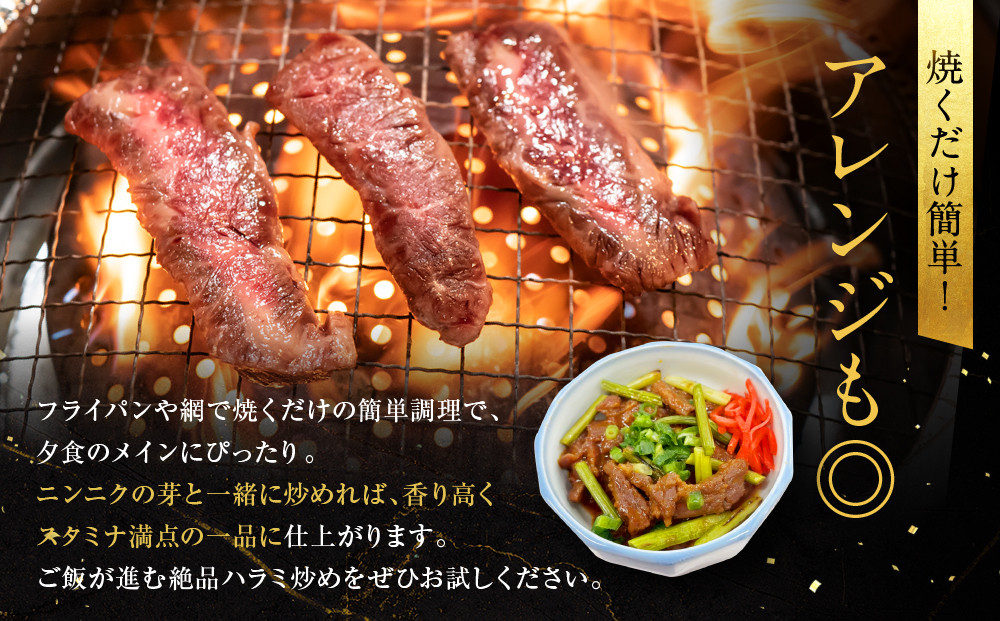 【エスイー】牛ジューシーハラミタレ漬け 500g×2パック 計1kg｜京都 食肉卸 自慢の肉質 牛ハラミ 人気セット 小分け［ 食肉卸の絶品ハラミ タレ漬け 小分け 便利 人気 おすすめ 肉 お肉 牛肉 焼肉 お取り寄せ 通販 送料無料 ふるさと納税 ]