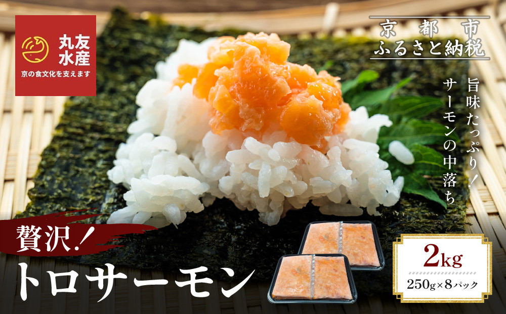 【丸友水産】トロサーモン 250g×8パック 計2kg｜京都 トロサーモン ノルウェー産［ 京都 ノルウェーサーモンの中落ち 丸友水産 京都中央卸売市場 ノルウェー産サーモン トロサーモン 人気 おすすめ おいしい お取り寄せ 通販 送料無料 ふるさと納税 ］