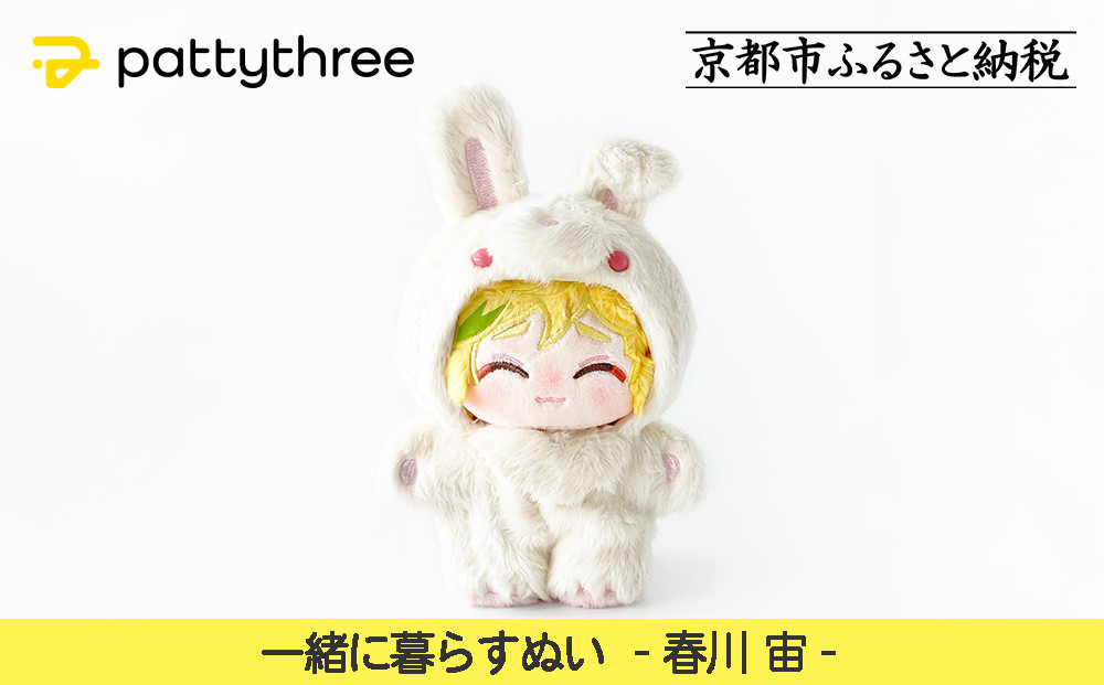 ソプラノ大正琴「月光」 雑貨 日用品 楽器 スタンダードモデル