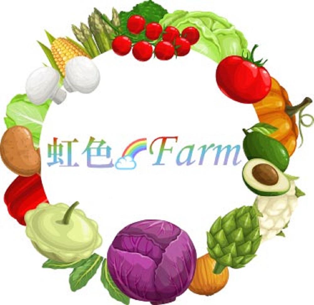 【先行予約特典付き・2026年7月発送】京ブランド野菜・賀茂茄子（かもなす） 6個 約1.5kg