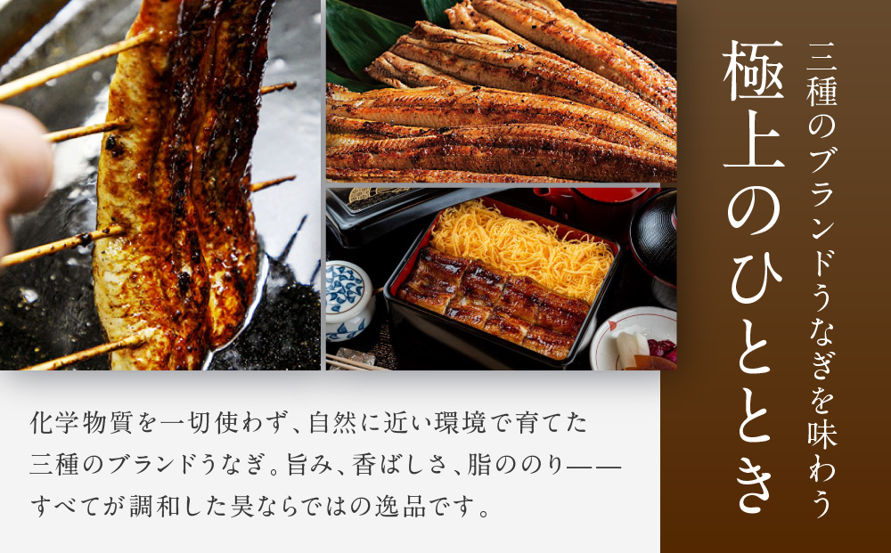 【うなぎ昊】お食事券 5000円券×2枚 | 京都 鰻専門店 人気 食事券［ 3つのブランドうなぎ 天空うなぎ 土佐のいごっそう 筑紫金うなぎ 食事券 ギフト券 美食 グルメ 人気 おすすめ 記念 お祝い 旅行 観光 食事 ふるさと納税 ］