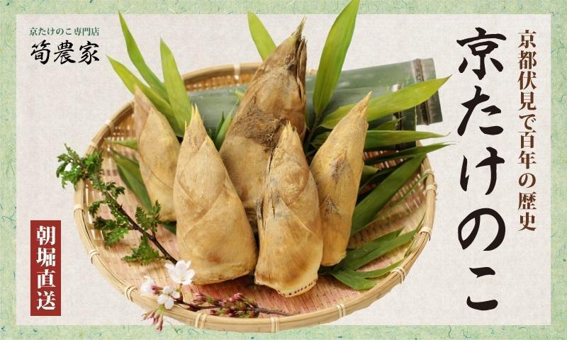 予約受付【筍農家】京都産 朝堀り たけのこ 優秀品 2KG（2-5本） [ 京都 筍専門店 たけのこ 朝掘り直送 新鮮 人気 おすすめ おいしい タケノコ 季節限定 お取り寄せ 通販 送料無料 ふるさと納税 ]