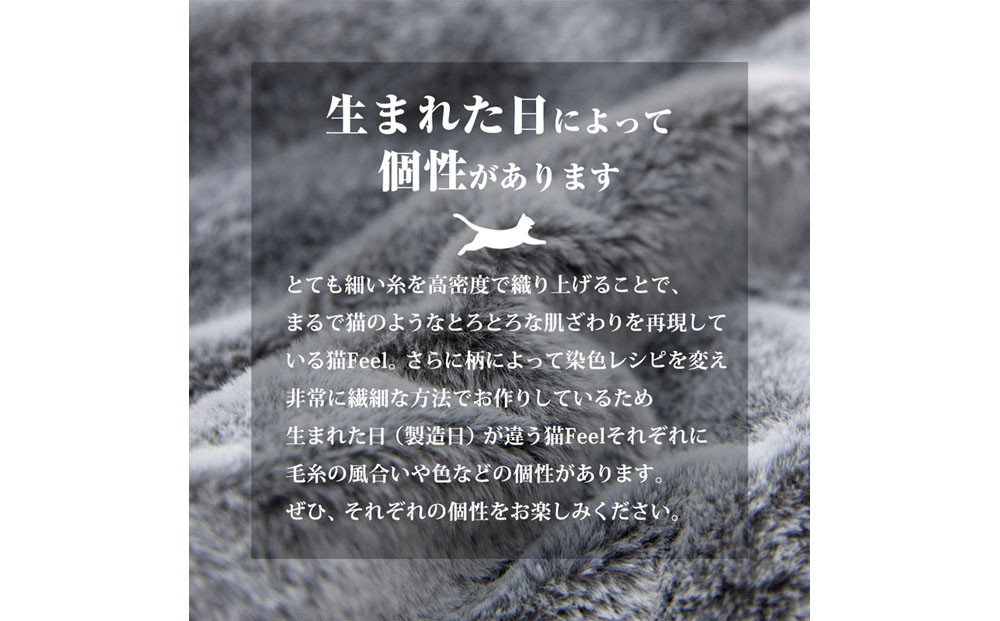 【ニッセン】まるで猫!のようなモフモフ2枚合わせ毛布(猫Feel)シングル スコティッシュフォールド(ベージュ系)［ 京都 nissen 寝具 吸湿 発熱 人気 おすすめ 洗える ギフト プレゼント お取り寄せ 通販 送料無料 ふるさと納税 ］