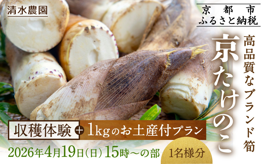 【清水農園】『京たけのこ』収穫体験＋1キロのお土産付プラン 2026年4月19日(日)  (3)15時～の部 1名様分［ 京都 タケノコ 人気 おすすめ 親子 ファミリー 子供向け 送料無料 ふるさと納税 ］