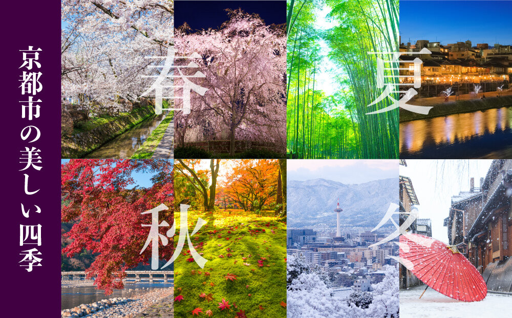 ãæŽ¥ç°ç±³ç©ãäºã€æãç±³ãã€ã¹ã¿ãŒç£ä¿® é«éãããè²ãŠããããã«ãª 10kgïœä»€å7幎床ç£ãããã«ãª çœç±³ ãã ããæãã粟米 人æ°ïŒ» ãããã«ãª ãç±³æ¬æ¥ã®é¢šå³ãšé£æ ãããã ã°ã«ã¡ ãããã ã³ã¡ ãåãå¯ã é販 éæç¡æ ãµãããšçŽçš 