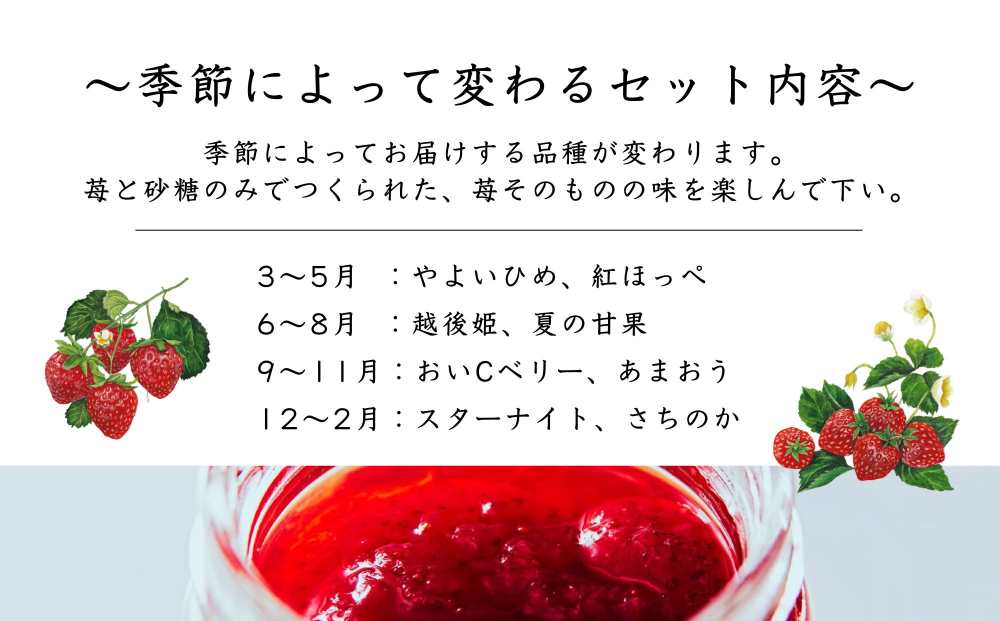 【MAISON DE FROUGE】季節の自家製いちごジャム 2種・各100g｜人気いちごスイーツ [ 苺スイーツ専門店 苺と砂糖のみで作られたジャム 果肉ごろごろ あまおう さちのか 紅ほっぺ おいCベリー おすすめ 手作りジャム ギフト プレゼント お取り寄せ 通販 送料無料 ふるさと納税 ]	
