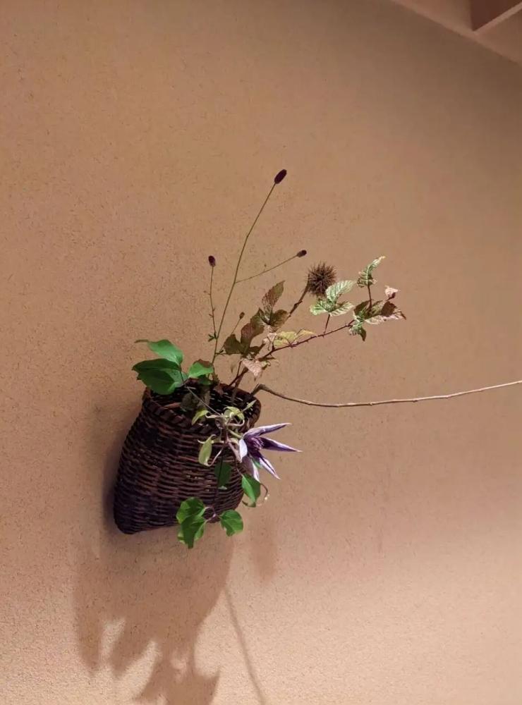 ãããåããæŒãããŸããã·ã§ãŒãã³ãŒã¹ãé£äºåž2åæ§åïŒãããªã³ã»ã¬ã¯ã·ã§ã³ïŒ