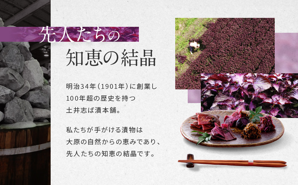 【土井志ば漬本舗】はんなり京漬物6種6点セット WS30(秋冬)｜京都大原 老舗 漬物 有名店 人気セット［ 千枚漬 赤かぶ漬 志ば漬きざみ すぐききざみ はんなり漬大根など 6種6点 食べ比べ おすすめ 野菜 つけもの ギフト プレゼント 贈答 お取り寄せ 通販 送料無料 ふるさと納税 ］