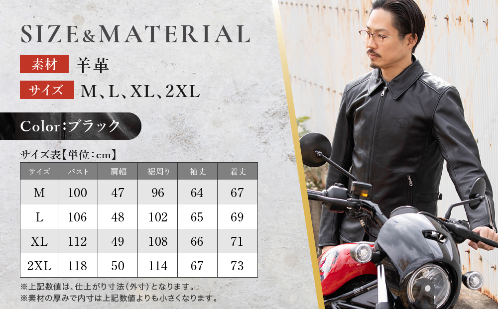 【デグナー】レザージャケット 細身シルエット XL 京都 バイクギア 人気ブランド バイク [26SJ-9] [ シープ 羊革 本革 軽量 丈夫 プロテクター 柔軟性 機能性 防寒 おしゃれ かっこいい おすすめ ツーリング ライダー バイカー 通販 送料無料 ]