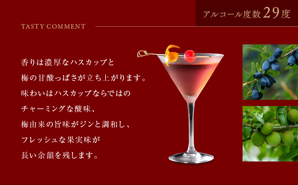 【京都蒸溜所】季の梅 京都プラムアンドベリーリキュール 700ml×3本  |プレミアム クラフトジン スピリッツ 人気セット［ 京都 お酒 ジン ドライジン スピリッツ 人気 おすすめ こだわり 蒸留 蒸留酒 蒸留所 ］